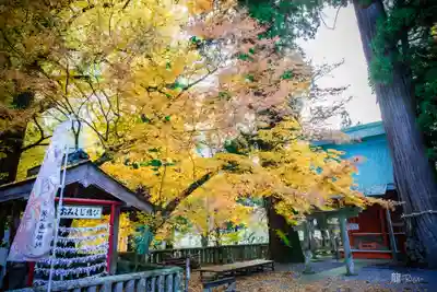 雲八幡宮(大分県)