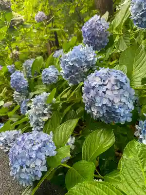 円覚寺(神奈川県)