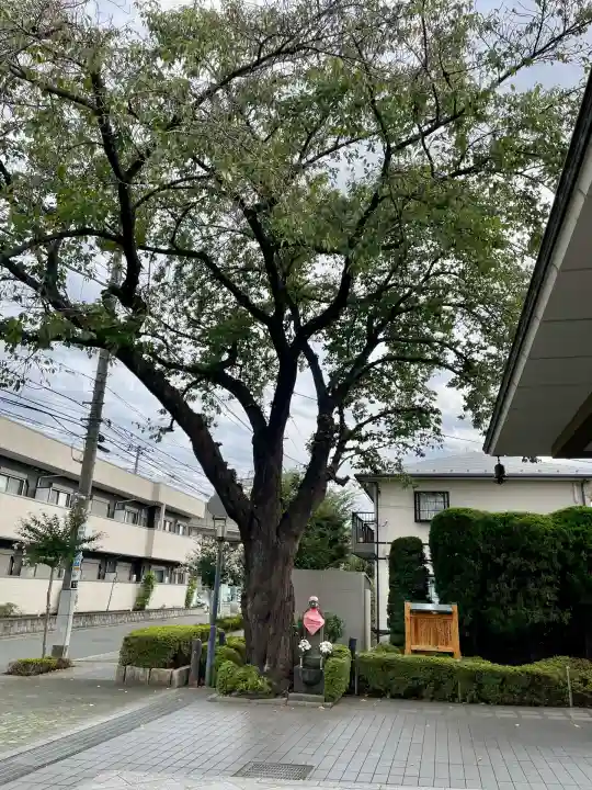 泉龍寺別院(東京都)