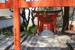 有子山稲荷神社の鳥居