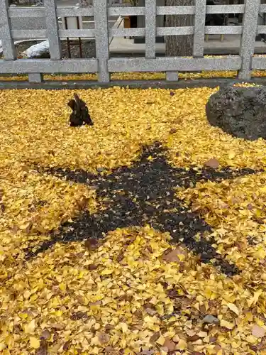 上川神社の庭園