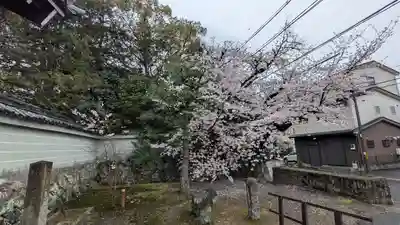 隨心院（随心院）(京都府)