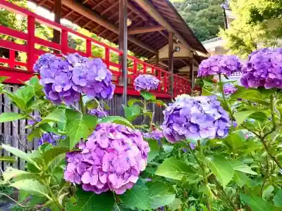 本土寺(千葉県)
