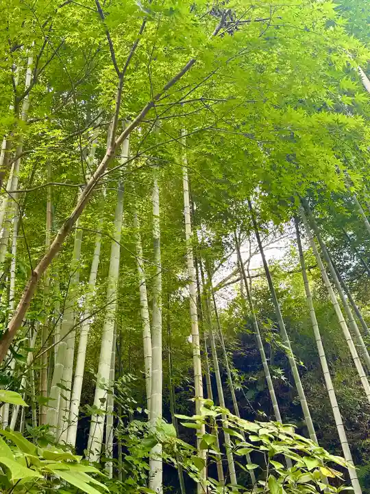 明月院(神奈川県)