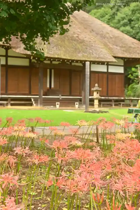 横浜 西方寺(神奈川県)
