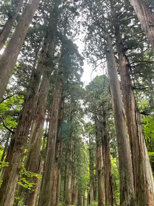 戸隠神社九頭龍社(長野県)