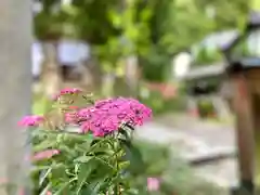 山家神社の自然