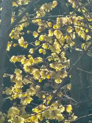 大蓮寺(京都府)