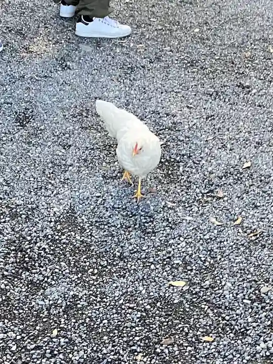 伊勢神宮外宮(豊受大神宮)(三重県)