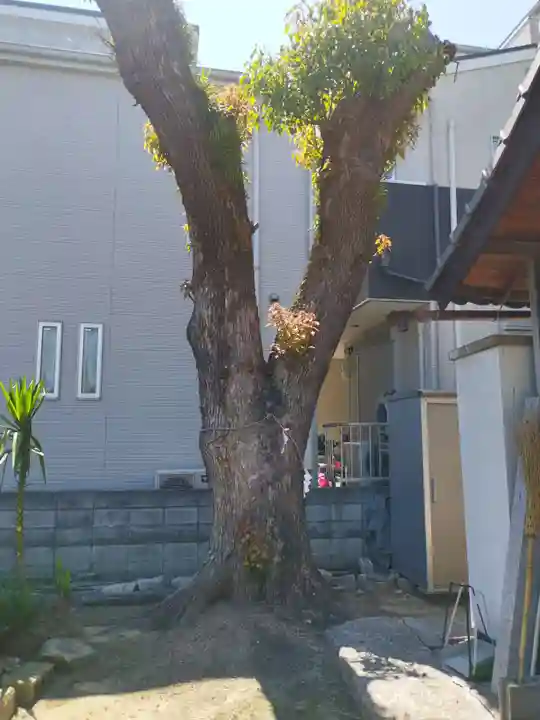 飛来神社(佐太天神宮旧御旅所)(大阪府)