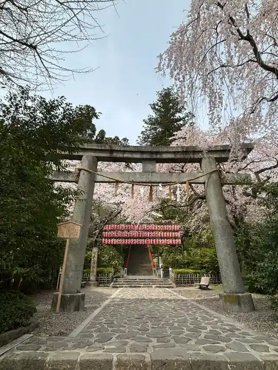 大崎八幡宮(宮城県)