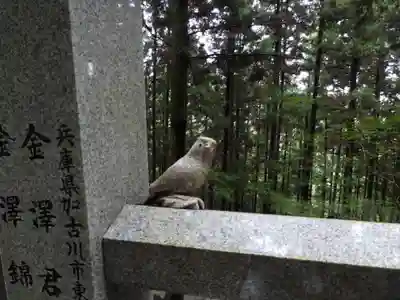 焼山寺(徳島県)