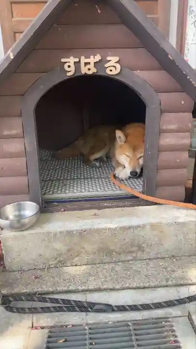 感通寺(東京都)