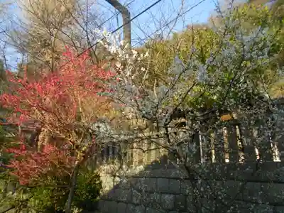 御霊神社のその他建物