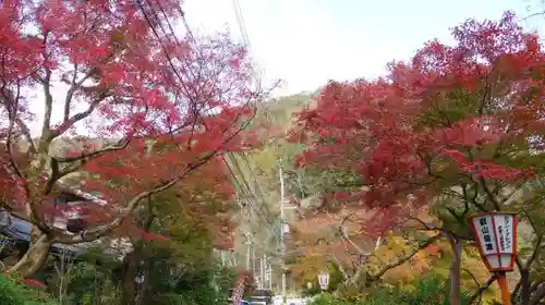 光明寺瑠璃光院のその他建物