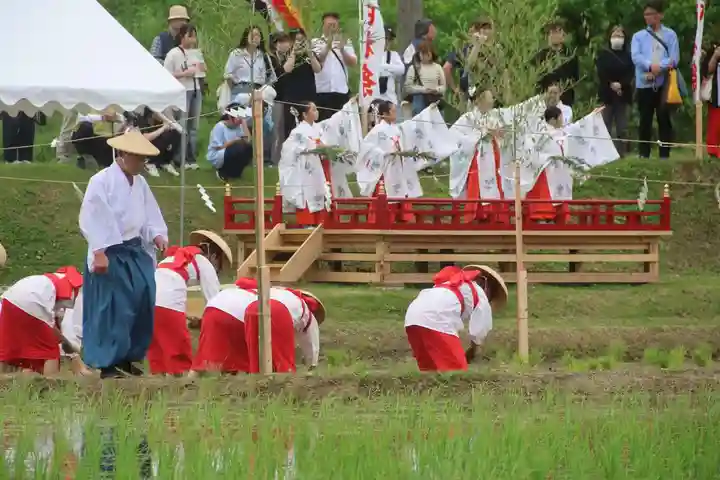 高屋敷稲荷神社のお祭り