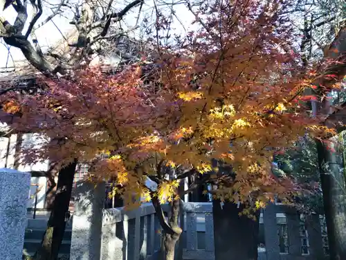 太田神社・高木神社(東京都)