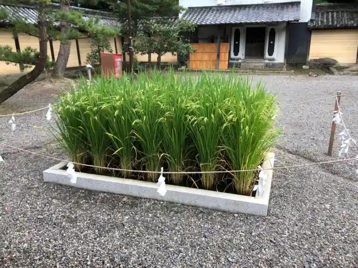 美濃國一宮 南宮大社(岐阜県)