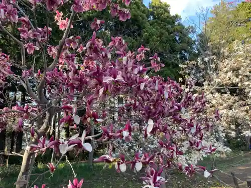 北海道神宮の庭園