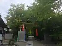 宇治上神社の鳥居
