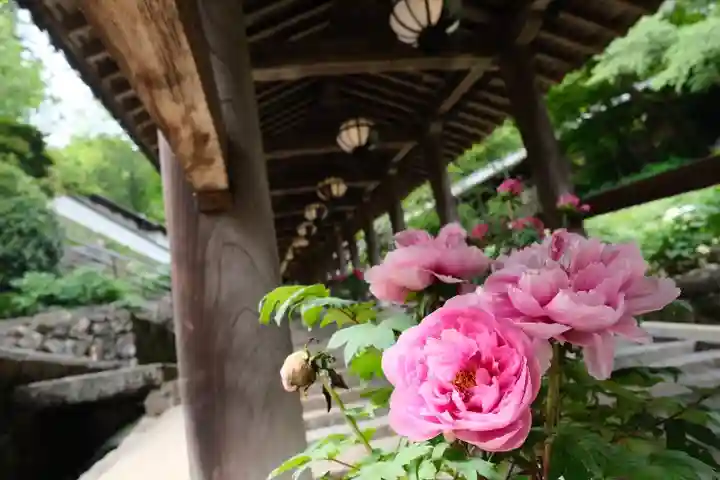 長谷寺(奈良県)