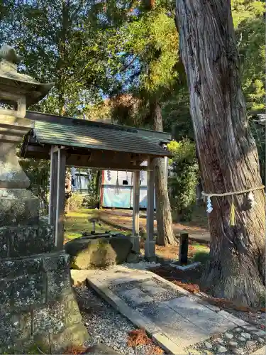 来宮神社(静岡県)