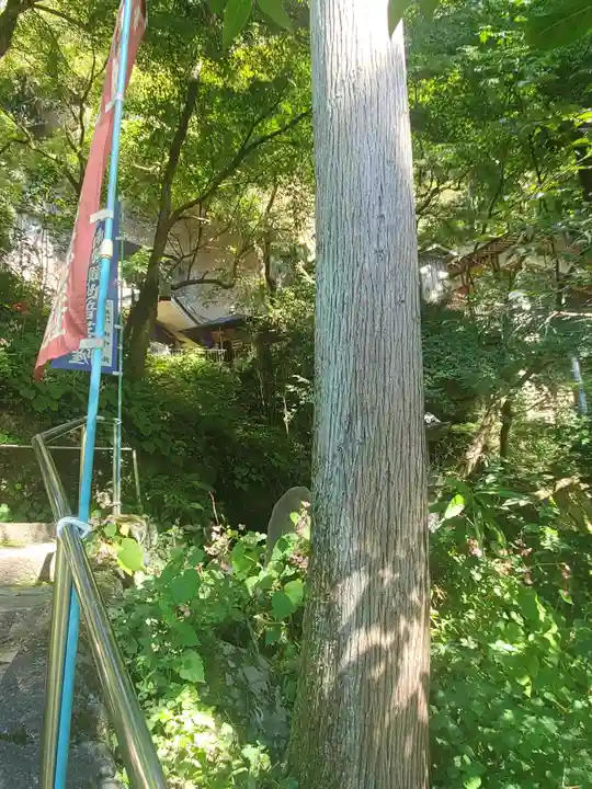 観音院のその他建物