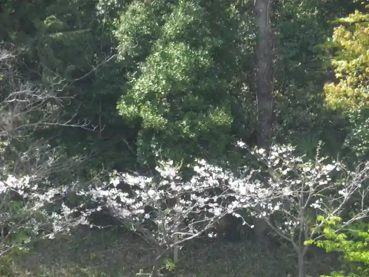 鶴岡八幡宮の自然