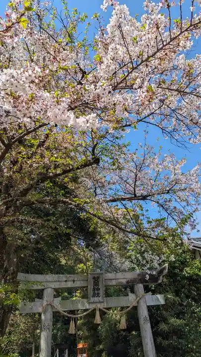 雙栗神社(京都府)