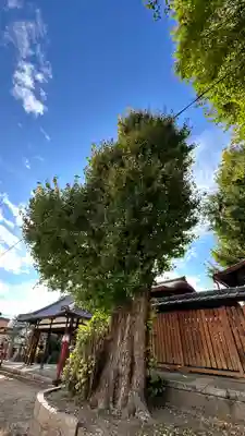 宇賀神社(京都府)