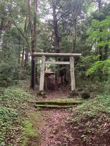 白幡神社の鳥居