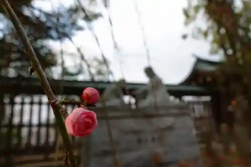 四條畷神社の自然