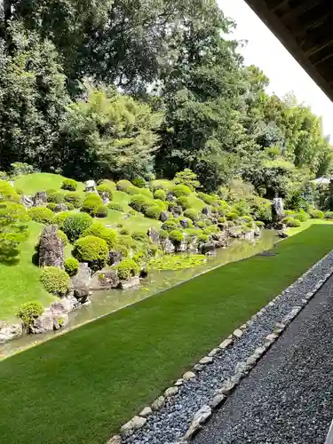 龍潭寺の庭園