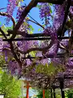 諏訪神社(宮城県)