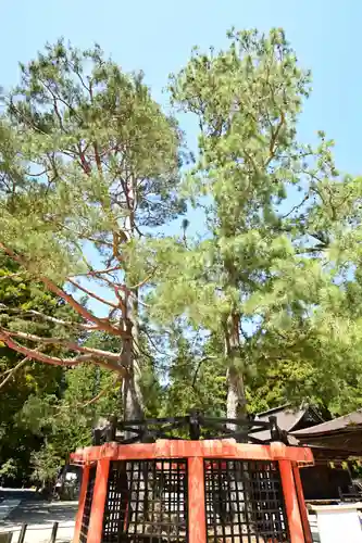 壇上伽藍(和歌山県)