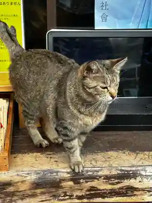 王子神社(徳島県)