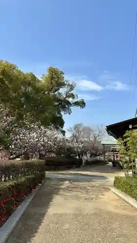 屯倉神社の{uncategorized: "未分類", other: "その他", undefined: "問題あり", building: "その他建物", grave: "お墓", sacred_gate: "鳥居", guardian: "狛犬", statue: "像", buddha: "仏像", history: "歴史", nature: "自然", garden: "庭園", animal: "動物", pagoda: "塔", temizu: "手水舎", mountain_gate: "山門・神門", sanctuary: "本殿・本堂", subordinate: "末社・摂社", art: "芸術", scenery: "景色", jizo: "地蔵", ema: "絵馬", goshuin: "御朱印", omikuji: "おみくじ", items: "授与品その他", amulet: "お守り", goshuincho: "御朱印帳", eats: "食事", festival: "お祭り", votive_dance: "神楽", shichigosan: "七五三参", wedding: "結婚式", experience: "体験その他", initially: "初詣", around: "周辺", anti_infection: "感染症対策"}
