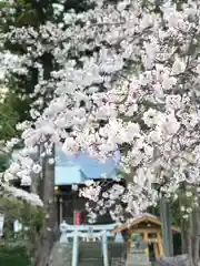 高司神社〜むすびの神の鎮まる社〜の自然