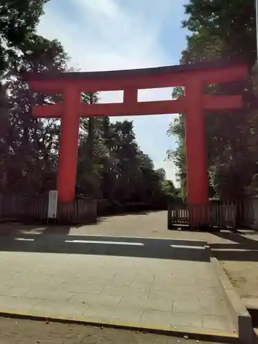 井草八幡宮の鳥居