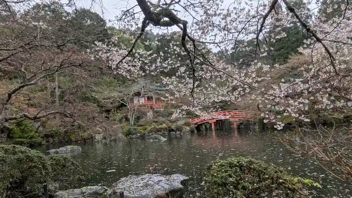 醍醐寺(京都府)