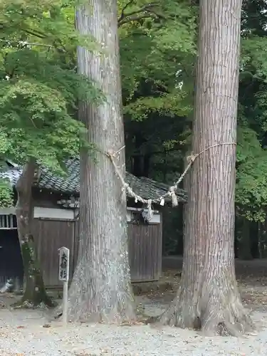水屋神社のその他建物