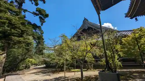 光明寺（粟生光明寺）(京都府)
