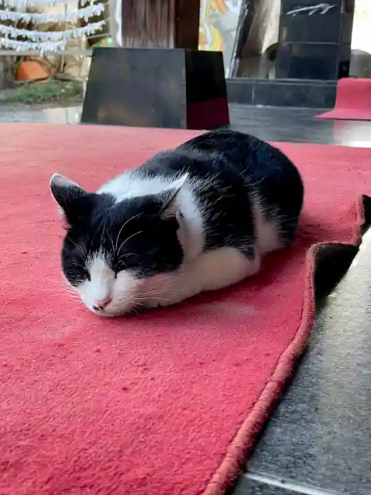 榛名神社の動物