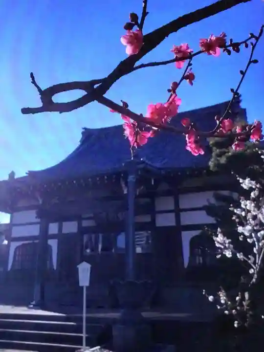 瑞円寺(東京都)