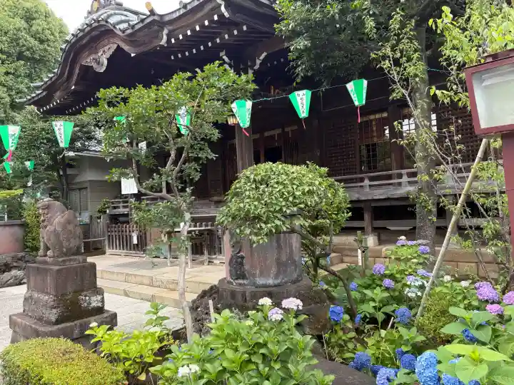 白山神社(東京都)