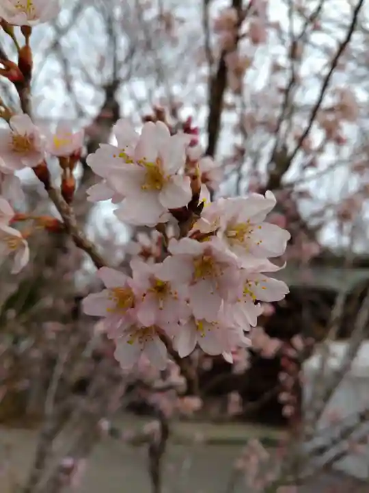 賀羅加波神社(広島県)
