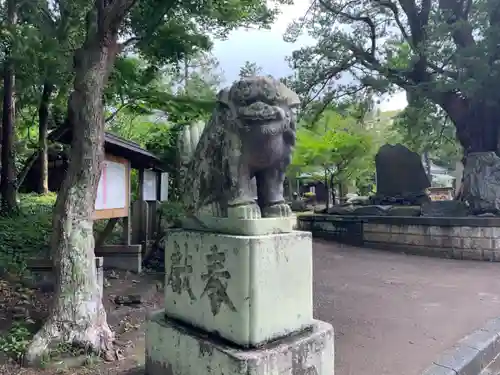 鶴谷八幡宮の狛犬