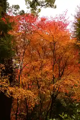星谷寺(徳島県)