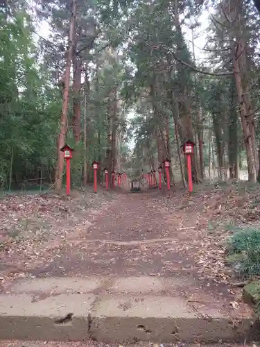 亀岡八幡宮の自然