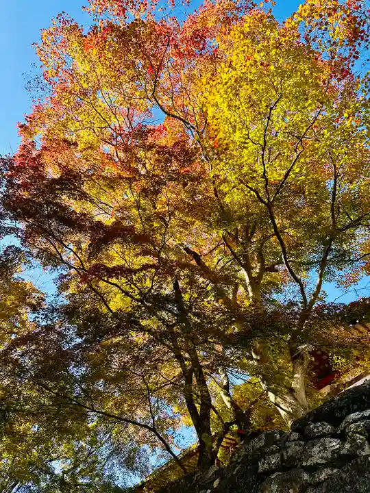 談山神社(奈良県)